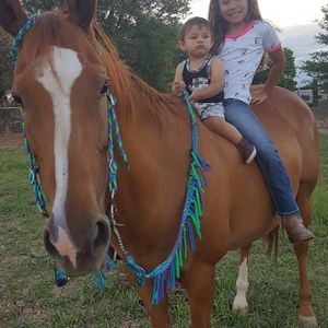 Meet your Posher, Vanessa